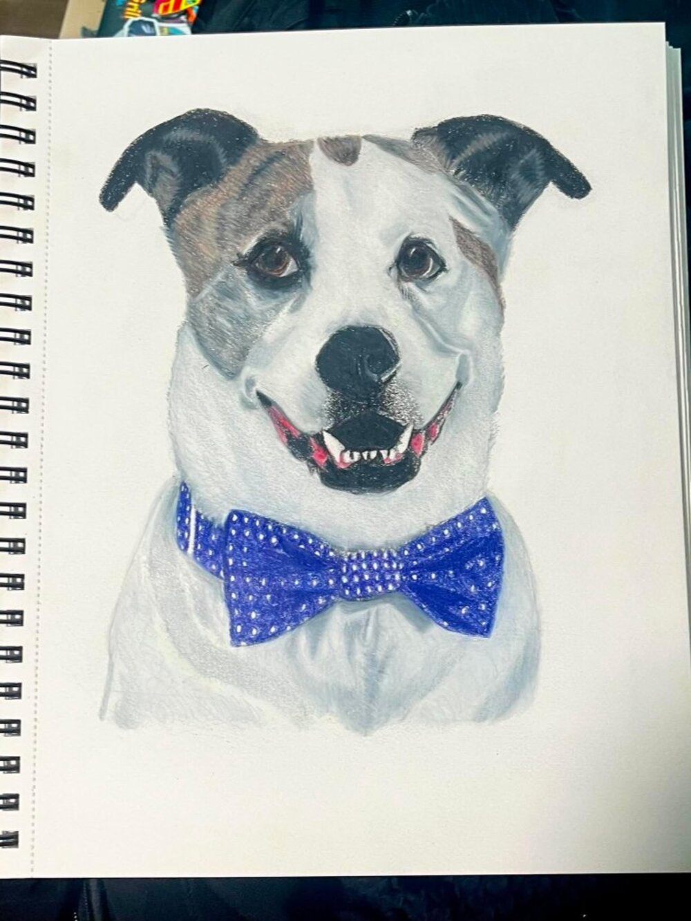 🎨 CUSTOM Pet Portraits | Hand Drawn from Your Photo | Memorial & Gift Artwork - Picture 7 of 8